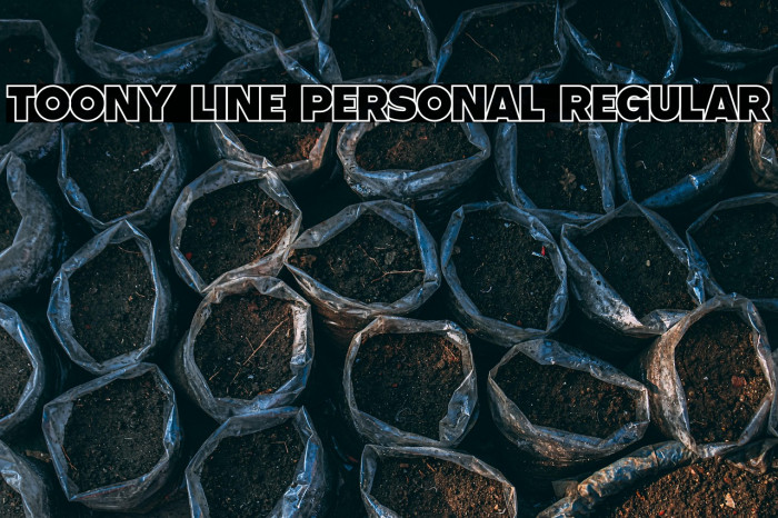 Toony Line PERSONAL Regular Example 3