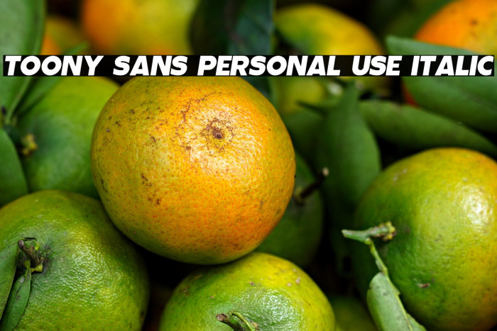 Toony Sans PERSONAL USE Italic Example 1