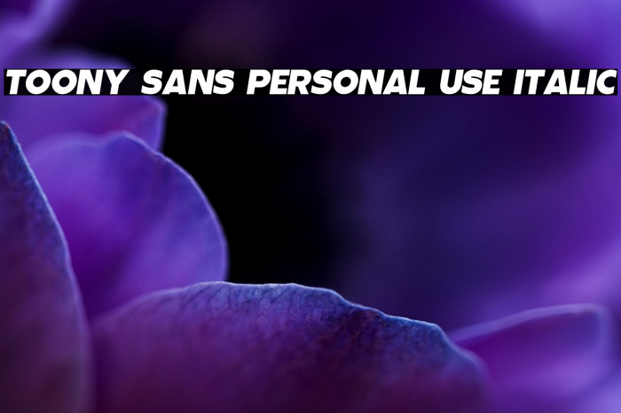 Toony Sans PERSONAL USE Italic Example 3