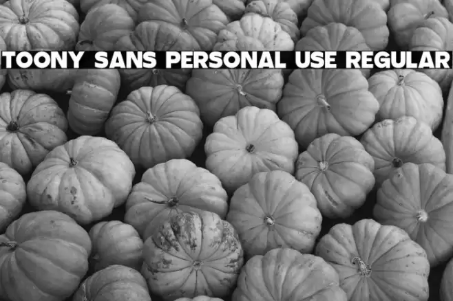 Toony Sans PERSONAL USE Regular Font examples