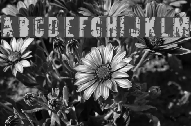 Tooth Ache Font examples