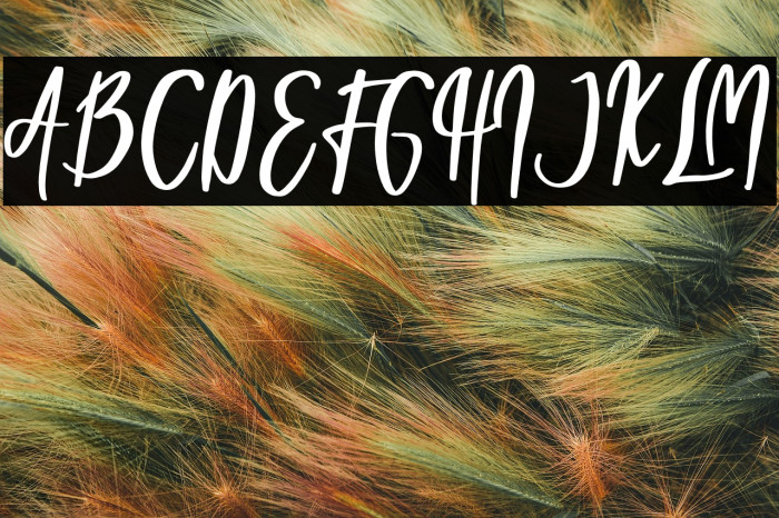 Tooth Bunny Example 3