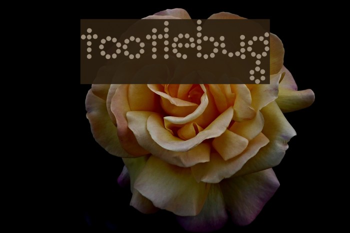 Tootlebug Font examples