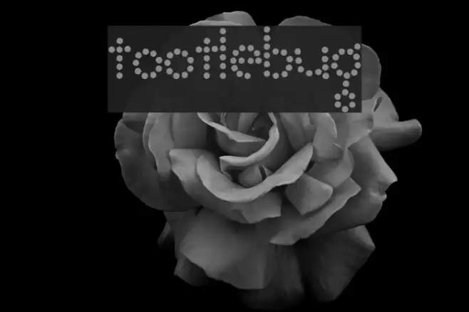 Tootlebug Font examples