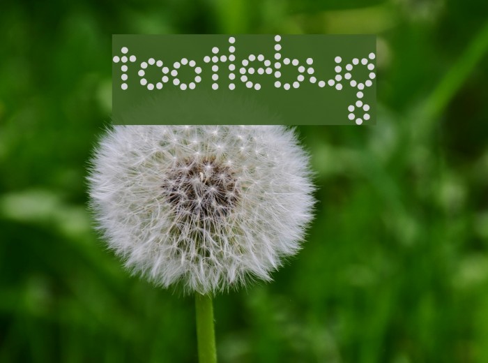 Tootlebug Font examples
