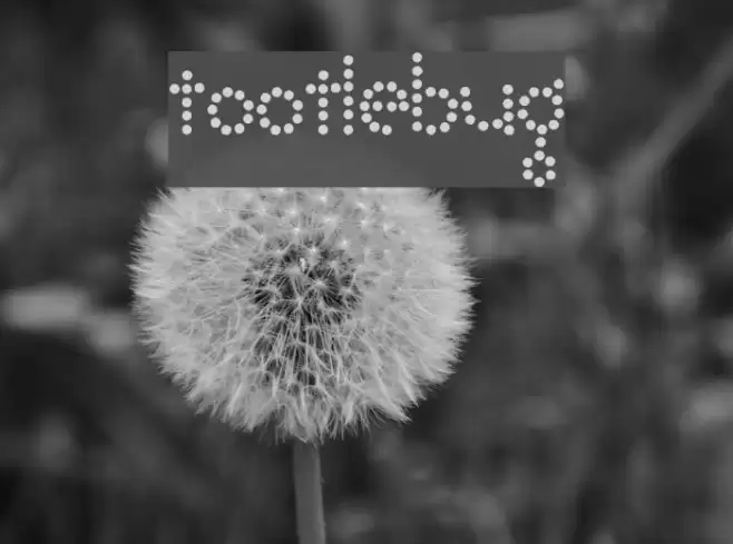 Tootlebug Font examples