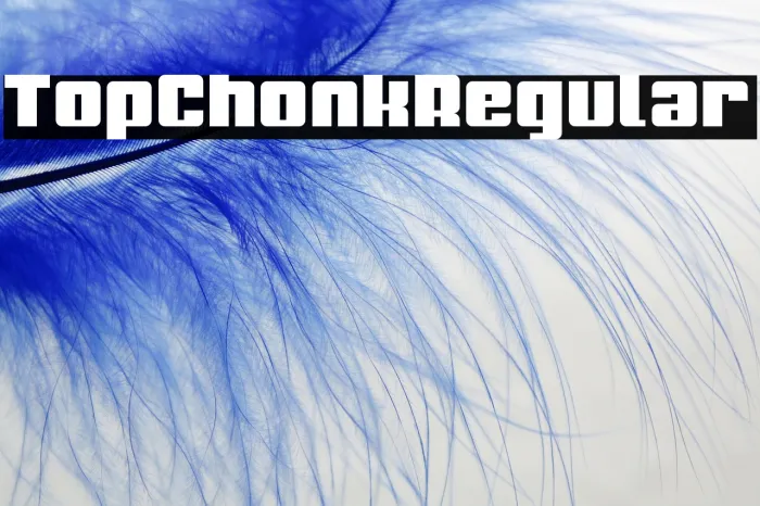 Top Chonk Regular Example 1
