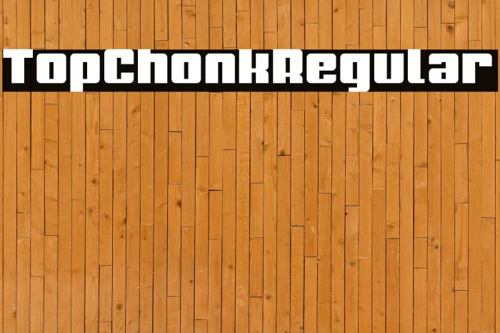 Top Chonk Regular Example 3