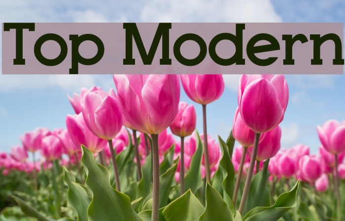 Top Modern Font examples
