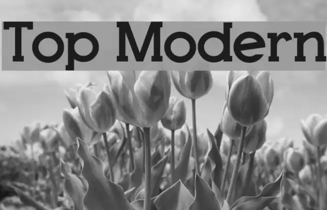 Top Modern Caratteri examples