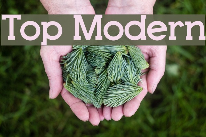Top Modern Font examples