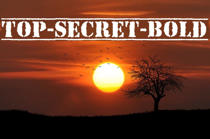 Top-Secret-Bold Example 2