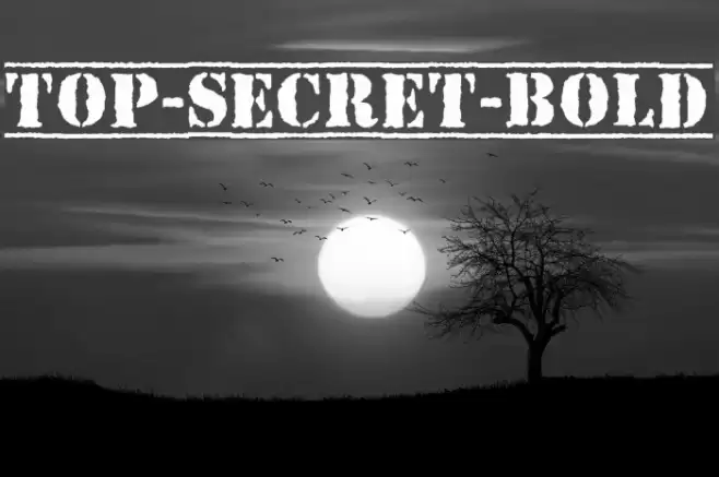 Top-Secret-Bold Font examples
