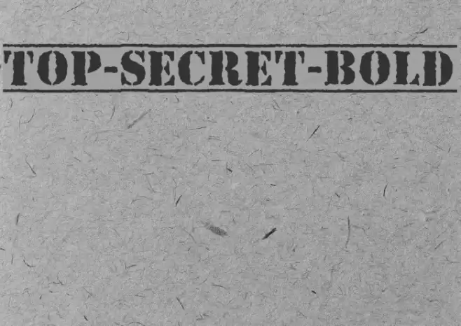 Top-Secret-Bold Font examples
