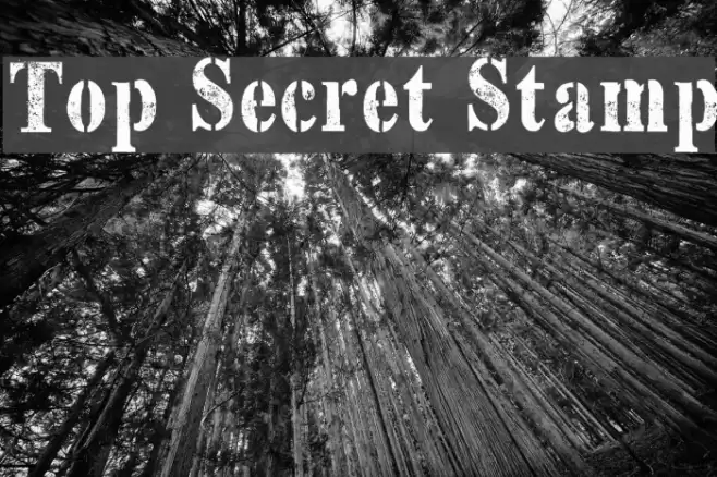 Top Secret Stamp Font examples