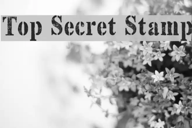 Top Secret Stamp Font examples