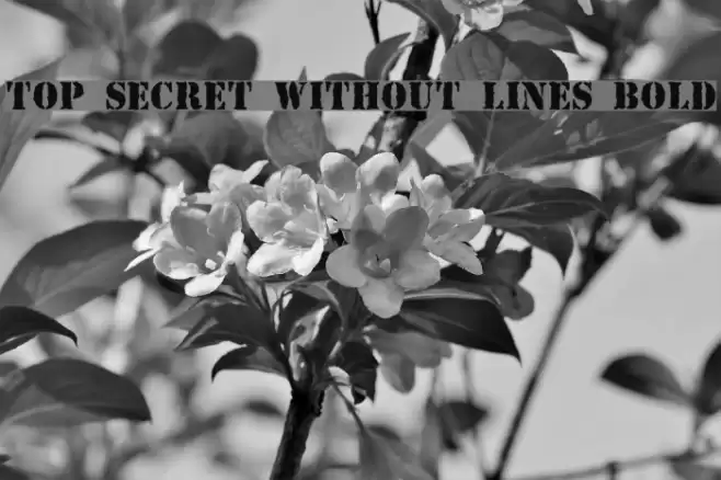 Top Secret Without Lines Bold Font examples