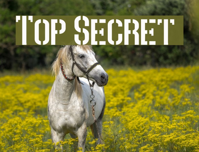 Top Secret Font examples