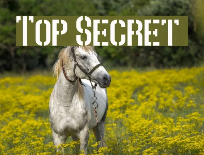 Top Secret  Example 2