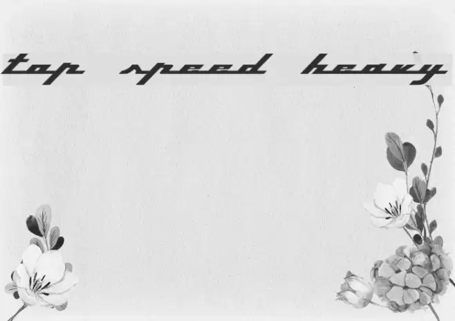 Top Speed Heavy Font examples