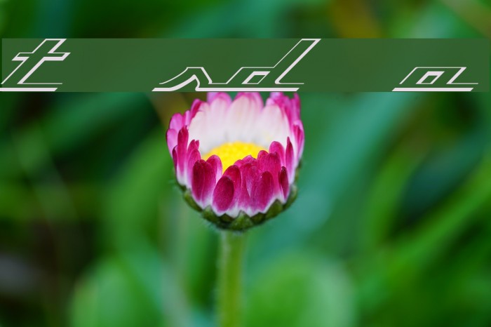 Top Speed Outline Font examples