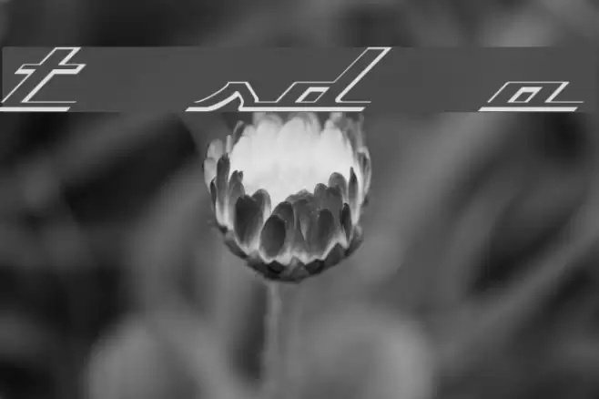 Top Speed Outline Font examples