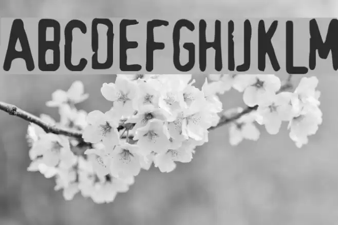 TopSecret Font examples