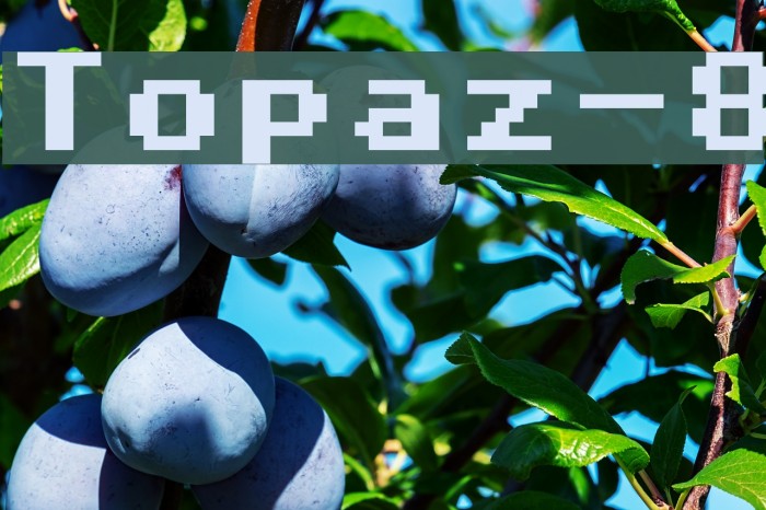 Topaz-8 フォント examples