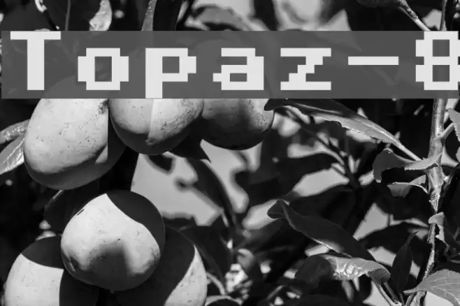 Topaz-8 Font examples