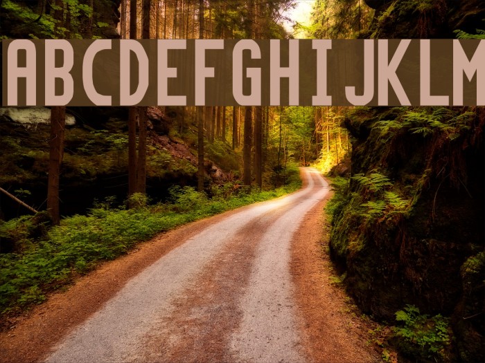 Topaz New Font examples