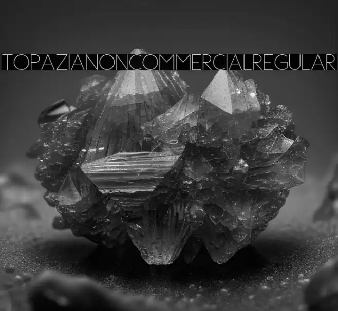 TopaziaNonCommercialRegular Polices examples