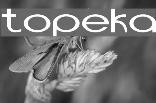 Topeka Font examples