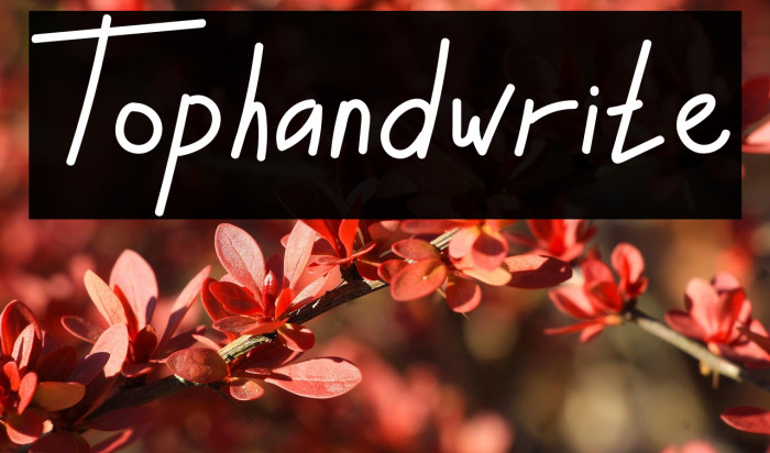 Tophandwrite Example 2