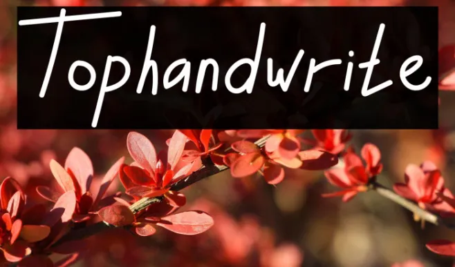 Tophandwrite Example 2