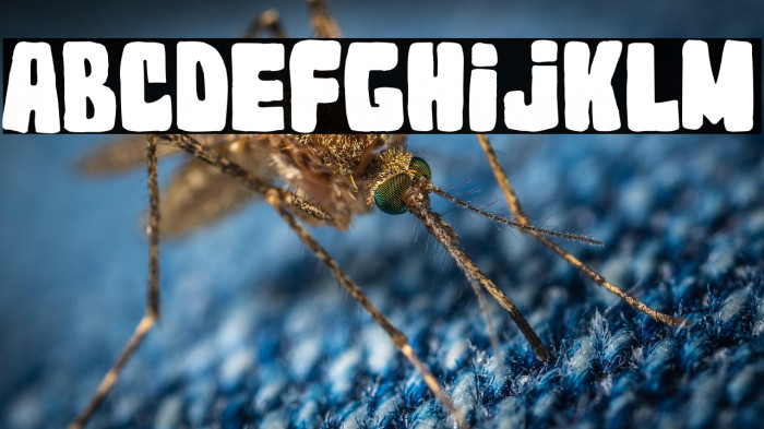 Topi Neri 2023 Example 1