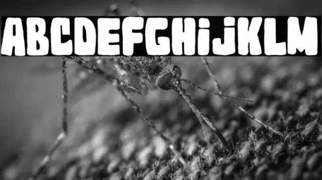 Topi Neri 2023 Font examples