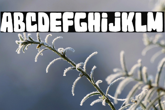 Topi Neri 2023 Example 2