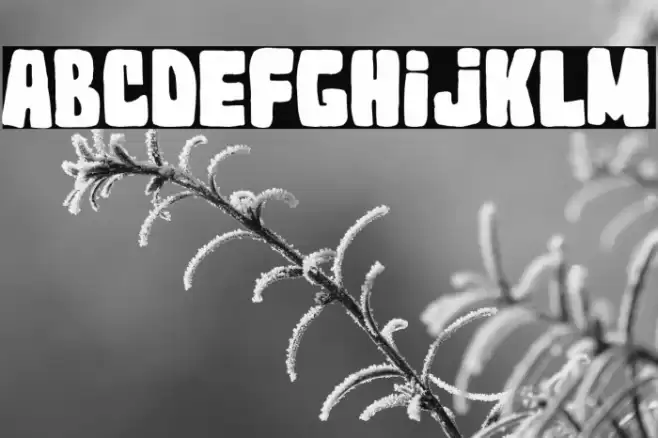 Topi Neri 2023 Font examples