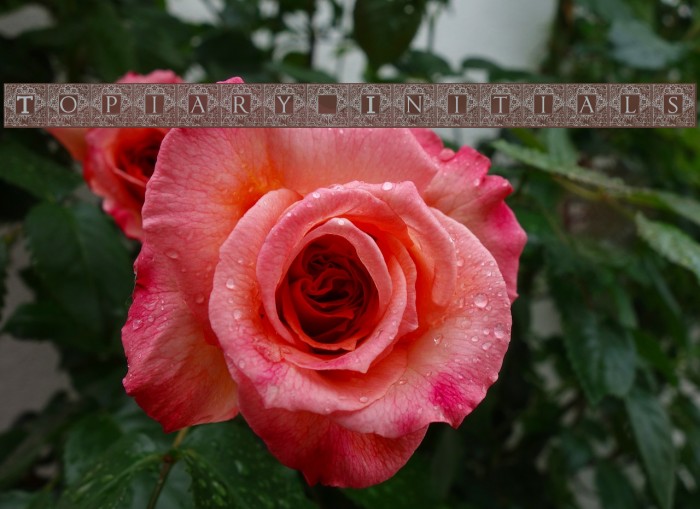 Topiary_Initials Font examples