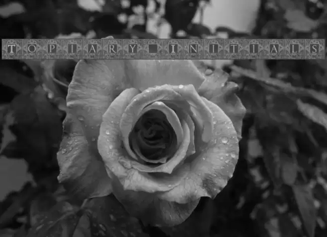 Topiary_Initials Fonte examples