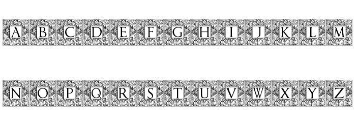 Topiary_Initials Font LOWERCASE