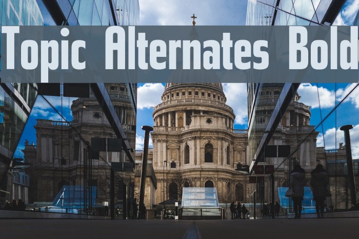 Topic Alternates Bold Font examples