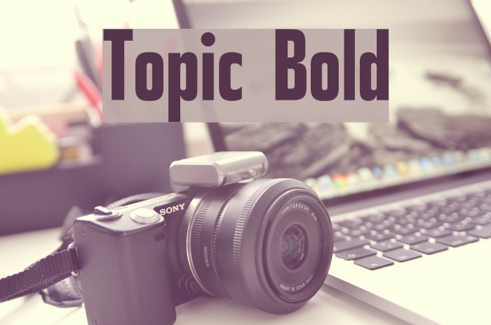 Topic Bold Font examples