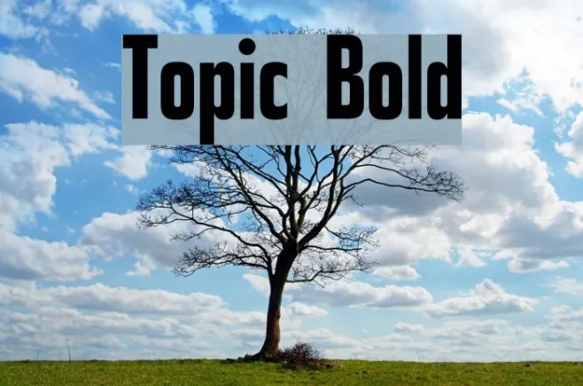 Topic Bold Example 2