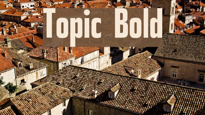 Topic Bold Font examples
