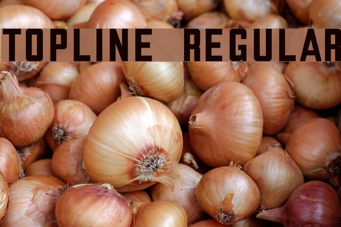 Topline regular Font examples