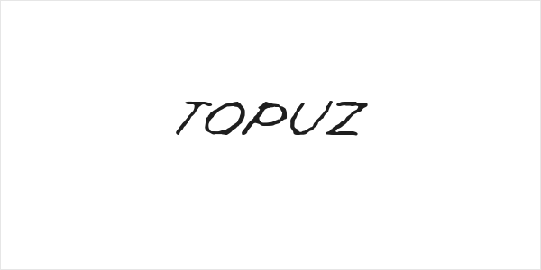 Topuz Logo