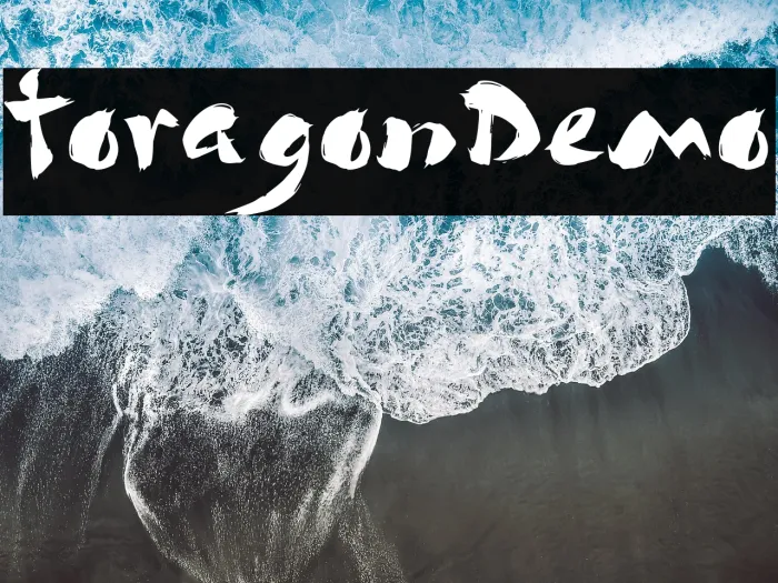 Toragon Demo Example 1