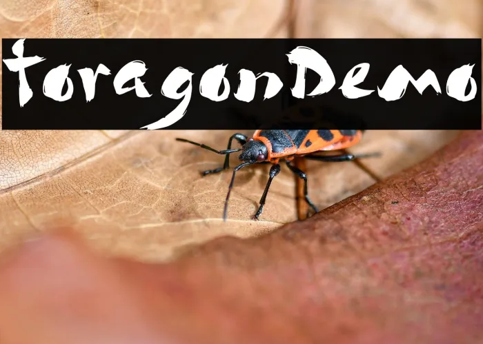 Toragon Demo Example 3