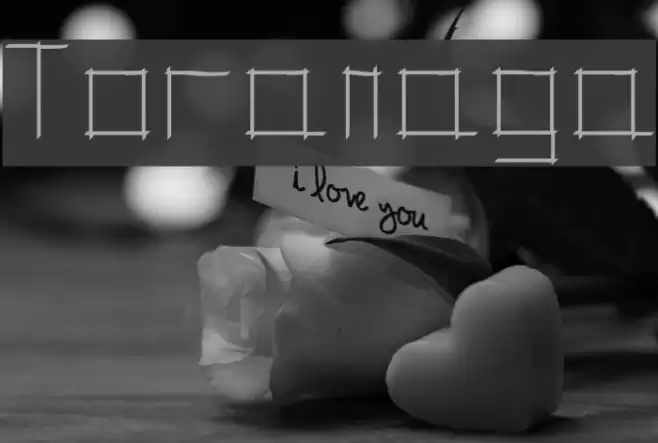 Toranaga Font examples